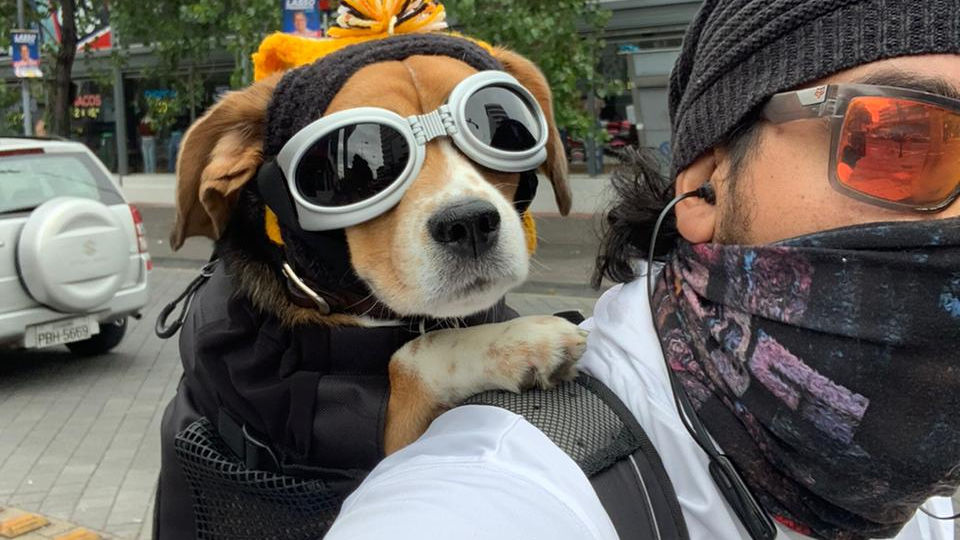 PASEA A TU MASCOTA EN TU ACTIVIDAD PREFERIDA